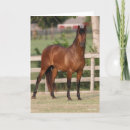 Recherche de andalousie vœux cartes Andalouse