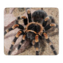 Recherche de araignée planches à découper Effrayant