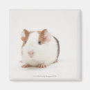 Recherche de appareils photo magnets Mignon