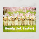 Recherche de paques cartes postales Animal mignon