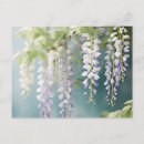 Recherche de glycine cartes postales Romantique