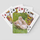 Recherche de de chaton jeux Pour enfants