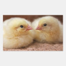 Recherche de poulailler autocollants Oiseaux