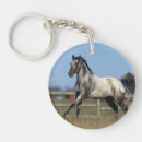 Recherche de fonctionnement porteclés Appaloosa