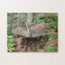 Recherche de fleurs vintages puzzles Nature