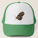 Recherche de ailes casquettes Insectes