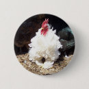 Recherche de oeufs de poule badges Poulet