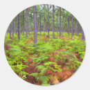 Recherche de le cap vert autocollants Jour