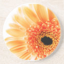 Recherche de marguerite gerbera dessous de verres Pour tous