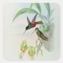 Recherche de hummingbird autocollants Coloré
