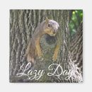 Zoek naar grappige eekhoorns magneten Natuur