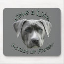 Recherche de refuges tapis souris Chien
