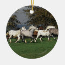 Zoek naar loop ornamenten Groep