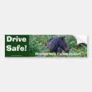 Recherche de cheval blanc noir voiture autocollants Animaux