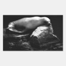 Recherche de dormant autocollants Faune