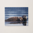 Recherche de loutres puzzles Faune