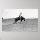 Recherche de équitation de taureau posters Cowboy