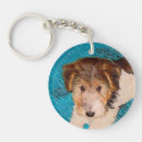 Recherche de fox terrier porteclés Chiot