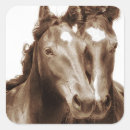 Recherche de sépia autocollants Cheval