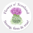 Recherche de fleur nationale autocollants Violet