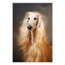 Recherche de afghan hound art Chiot