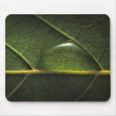 Recherche de photosynthèse tapis souris Jardin