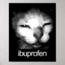 Zoek naar kat meme posters Viraal