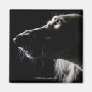 Recherche de concentration magnets Tir de studio