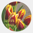 Recherche de tulipe rouge autocollants Tulipes