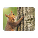 Recherche de escalade magnets Photographe