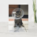 Recherche de chirurgie photographie Photographe