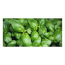 Recherche de basilic posters Cuisine