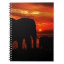 Zoek naar olifants notitieboeken Zonsondergang