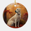 Recherche de berger anatolien ornements Pour tous