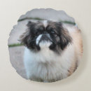 Zoek naar shih tzu kussens Schattig