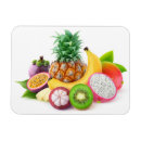 Recherche de fruits tropicaux magnets Exotique