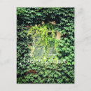 Recherche de plantes vertes cartes postales Nature