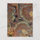 Recherche de onyx cartes postales Macro