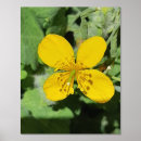 Recherche de de conception art Tendance