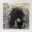 Recherche de pug puzzles Portrait