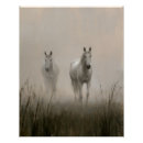 Zoek naar witte paarden posters Ruiter