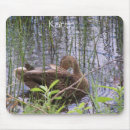 Recherche de roseaux tapis souris Nature