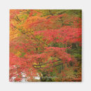 Recherche de arbre japonais magnets Le japon