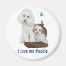 Recherche de chien drôle magnets Race