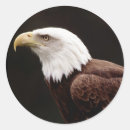 Recherche de aigle chauve autocollants Américain