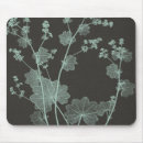 Recherche de menthe tapis souris Botanique