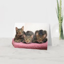 Recherche de charités vœux cartes Chats