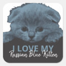 Recherche de chat bleu russe autocollants Chaton