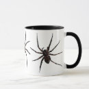 Recherche de araignée tasses Photographie
