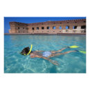 Recherche de fort jefferson posters Île